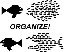 organize.png